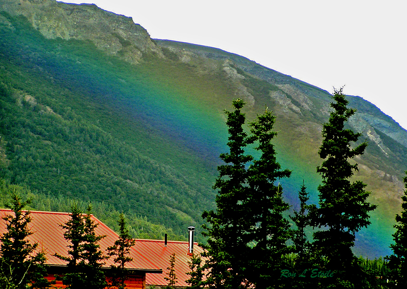 View From Princess Lodge