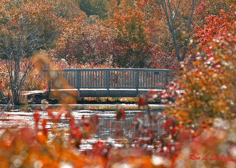 Canoe River Audubon Wildlife Refuge