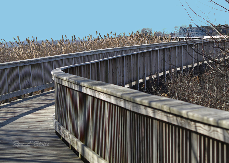 Claire D. McIntosh Audubon Wildlife Refuge