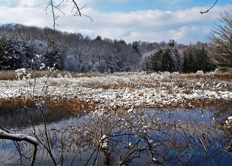 Richard Fort Audubon Wildlife Refuge