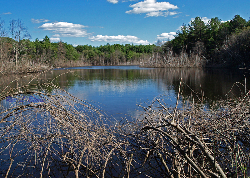 Richard Fort Audubon Wildlife Refuge