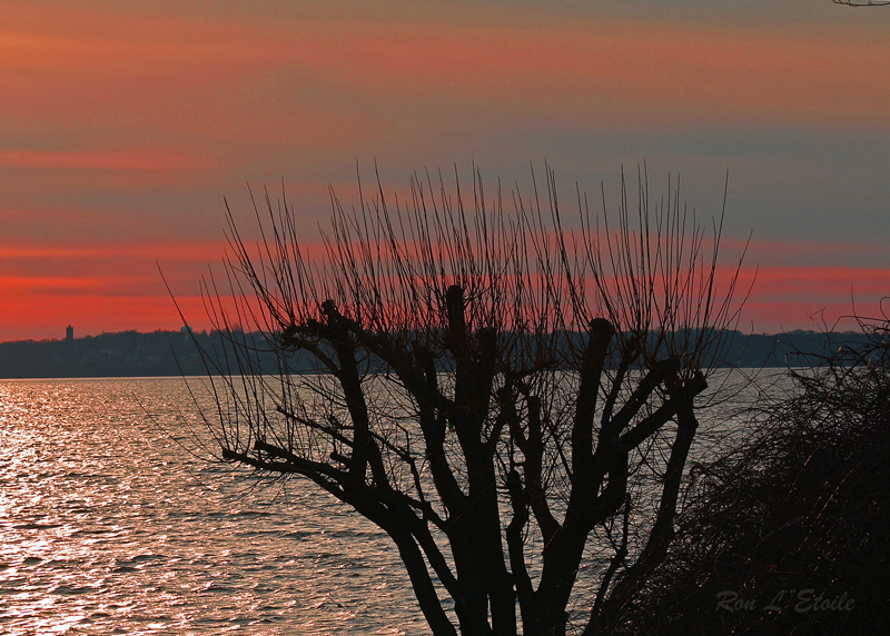 Off East Bay Bike Path